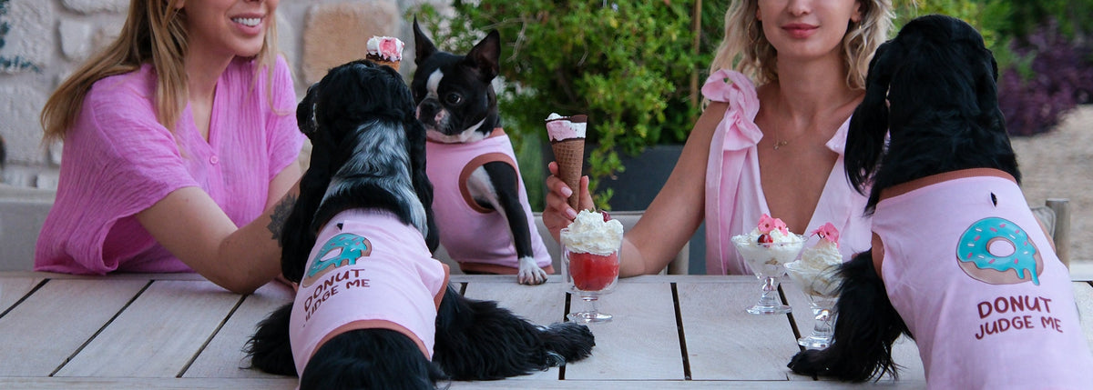 Köpek Tişört Rehberi: Yaz Aylarında Evcil Dostunuz İçin Doğru Kıyafet Seçimi