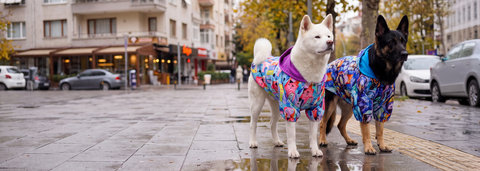 Large Breed Dog Clothing