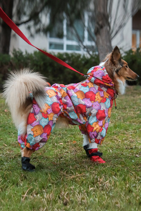 Four-legged Jumpsuit