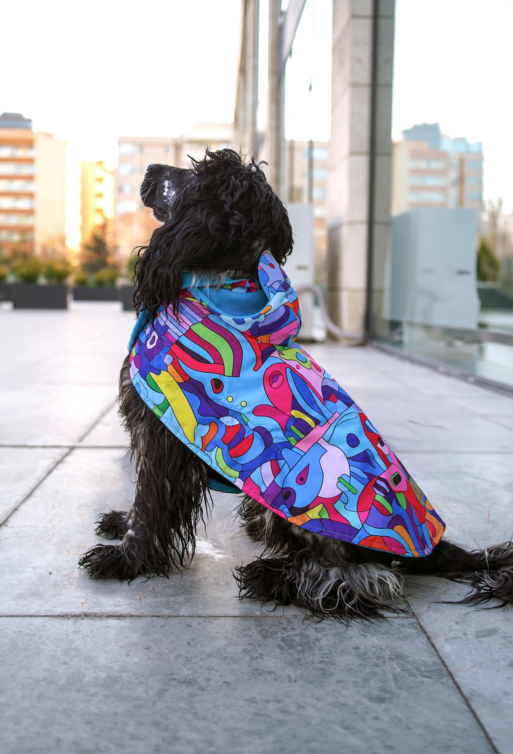 Premium colorful abstract animals köpek pançosu ile dış mekanda
