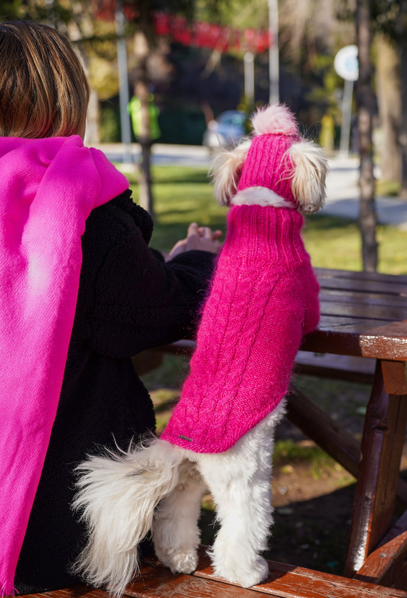 Küçük ırk Maltese köpekte fuşya el örgüsü regular fit kazak, parkta arka görünüm lifestyle