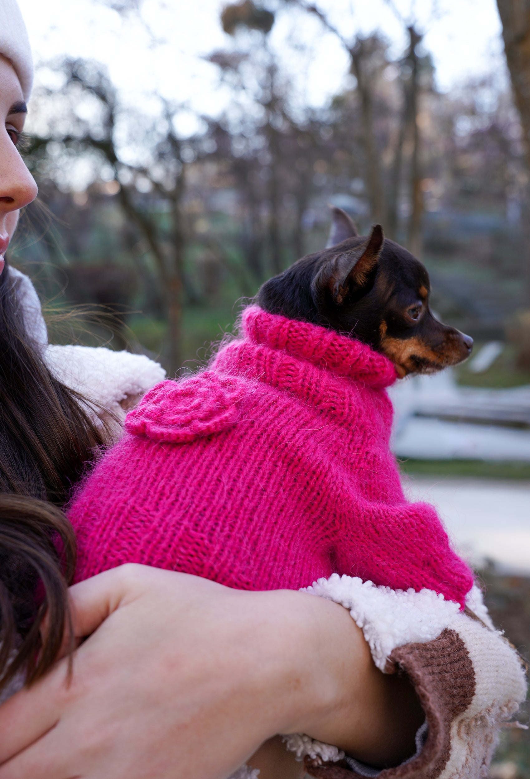 Chihuahua üzerinde fuşya çiçek detaylı el örgüsü köpek tulumu, kucakta sıcak lifestyle görünüm