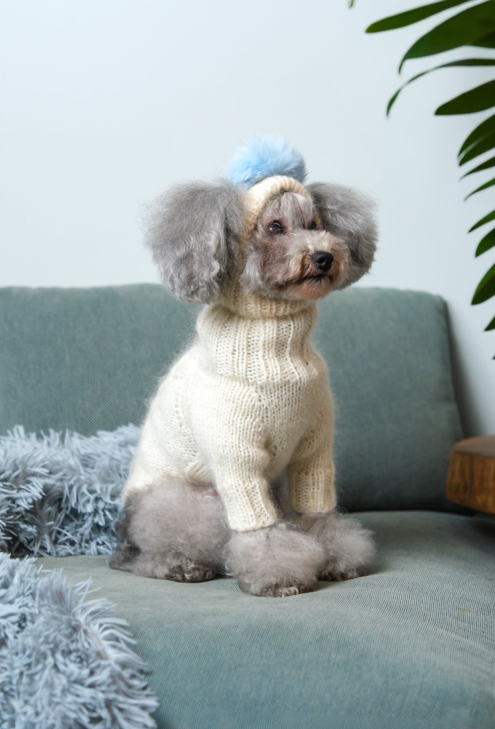 Krem rengi örgülü regular fit köpek kazak, küçük ırklar için sade ve sıcak lifestyle görünüm