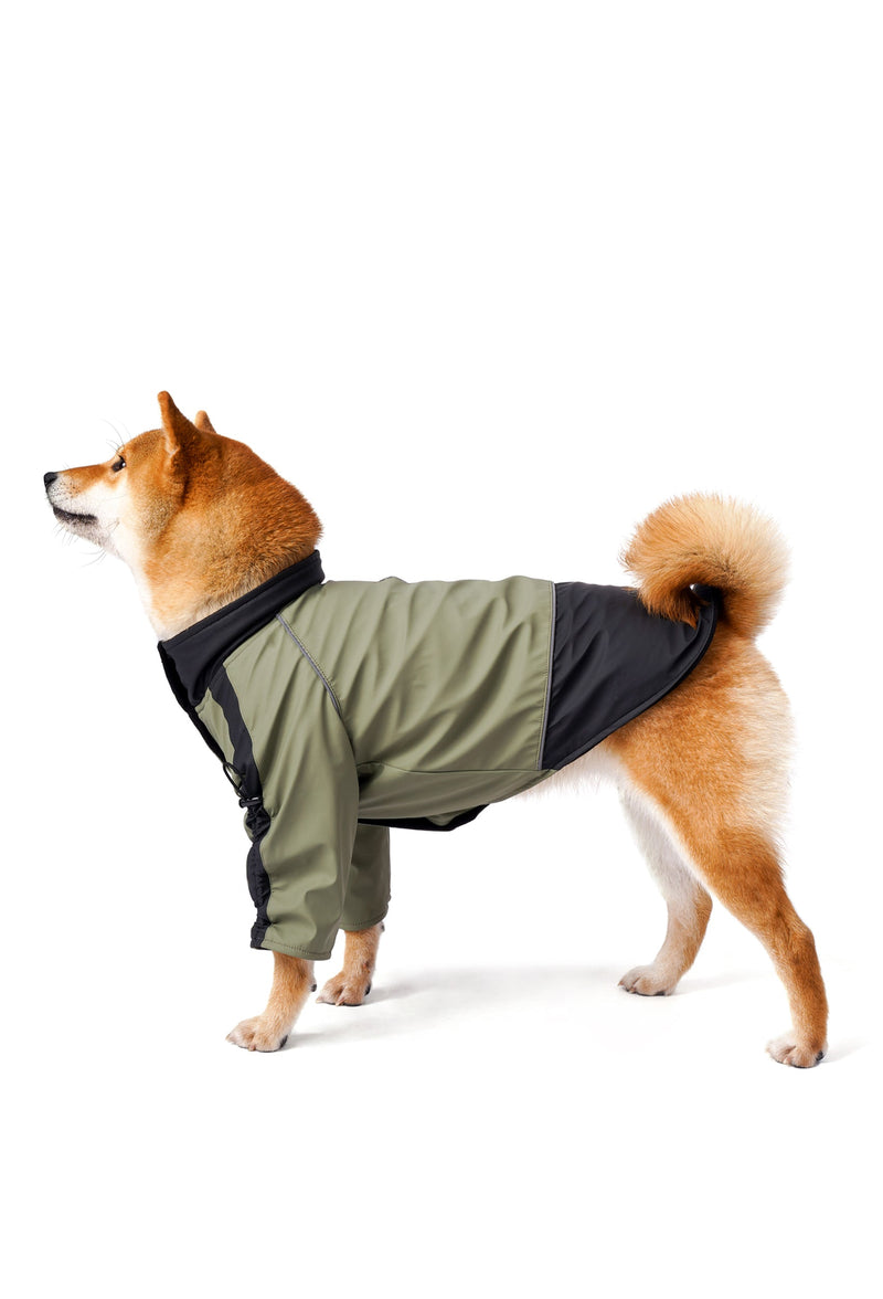 Küçük Irk Köpek Montu: Chihuahua, Pomeranian ve Maltese İçin Beden ve Model Rehberi