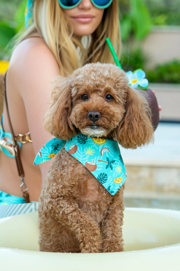 Bandana