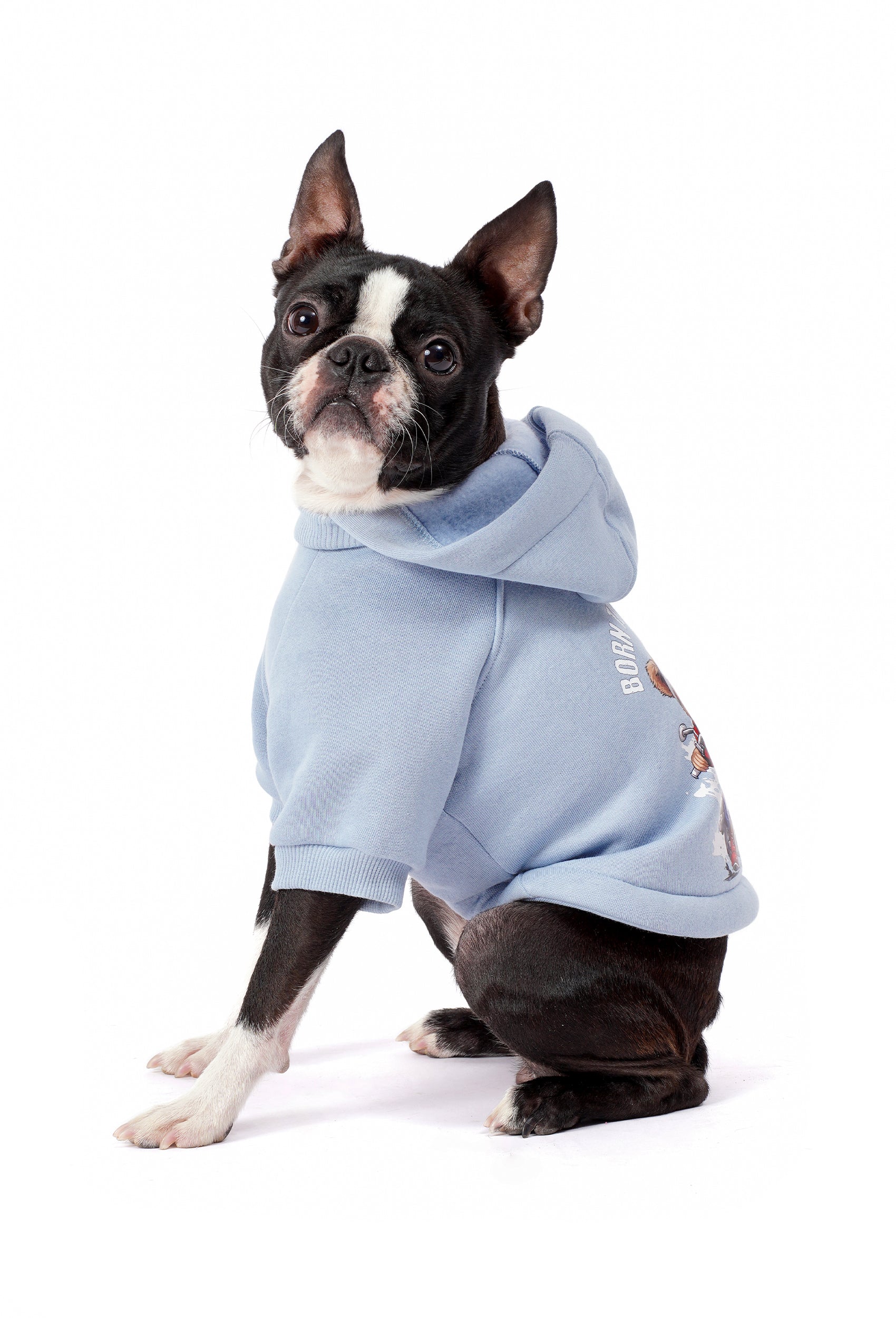 Bebek Mavisi Köpek Hoodie “Crazy Rider” – Fouramour