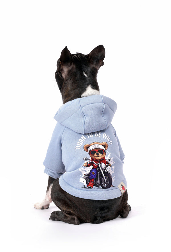 Boston Terrier üzerinde FourAmour Crazy Rider bebek mavisi köpek hoodie arka görünüm