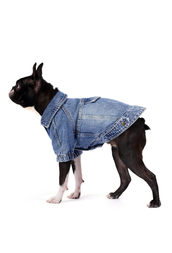 Koyu Kar Yıkama Denim Köpek Ceketi “Rodeo”