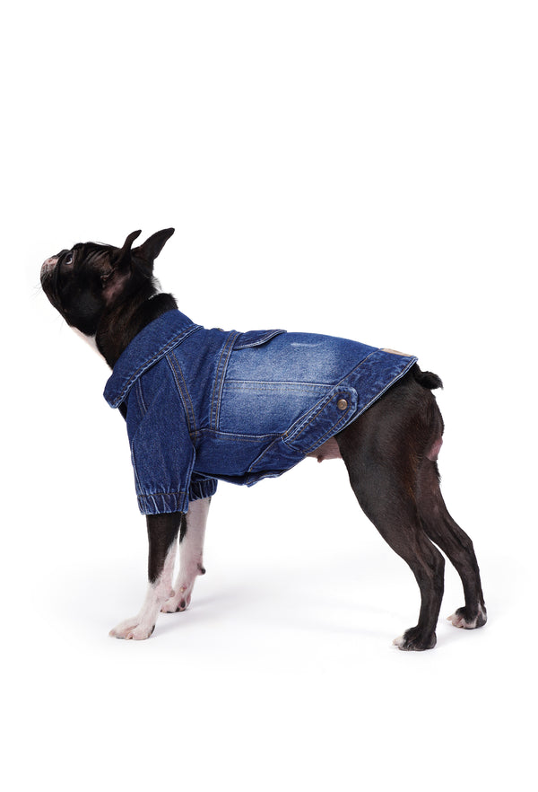 Koyu Yıkama Denim Köpek Ceketi “Rodeo”