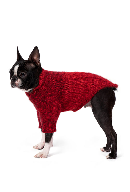 Boston Terrier üzerinde batik vişne rengi el örgüsü köpek kazağı, regular fit yan görünüm