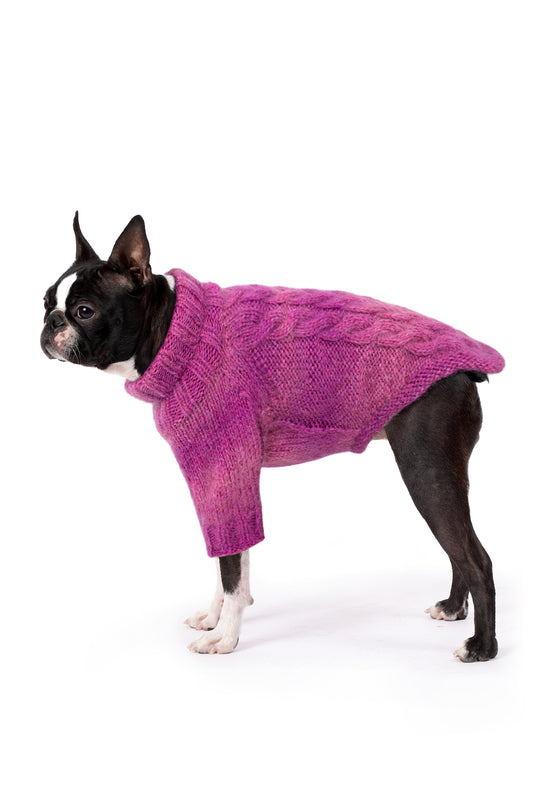 Boston Terrier üzerinde batik leylak rengi el örgüsü köpek kazağı, regular fit yan görünüm