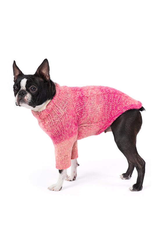 Boston Terrier üzerinde batik pembe el örgüsü köpek kazağı, regular fit yan görünüm