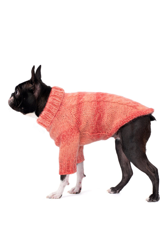 Boston Terrier üzerinde batik mercan rengi el örgüsü köpek kazağı, regular fit yan görünüm
