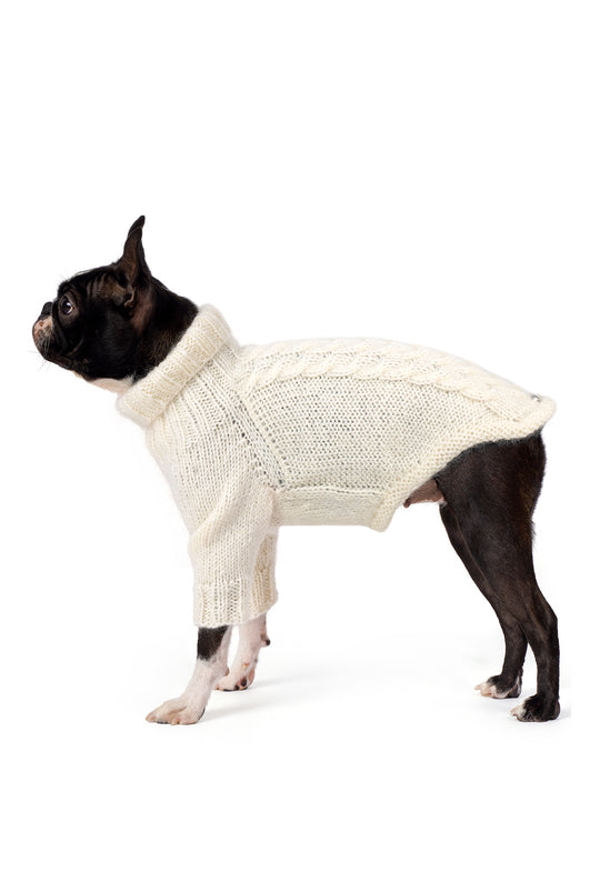 Boston Terrier üzerinde krem rengi örgülü el örgüsü köpek kazağı, regular fit yan görünüm