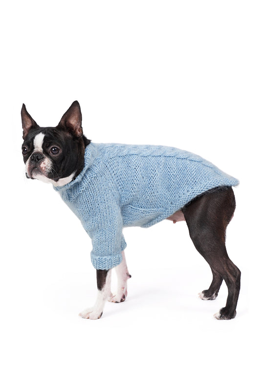 Boston Terrier üzerinde buz mavisi el örgüsü köpek kazağı, regular fit yan görünüm