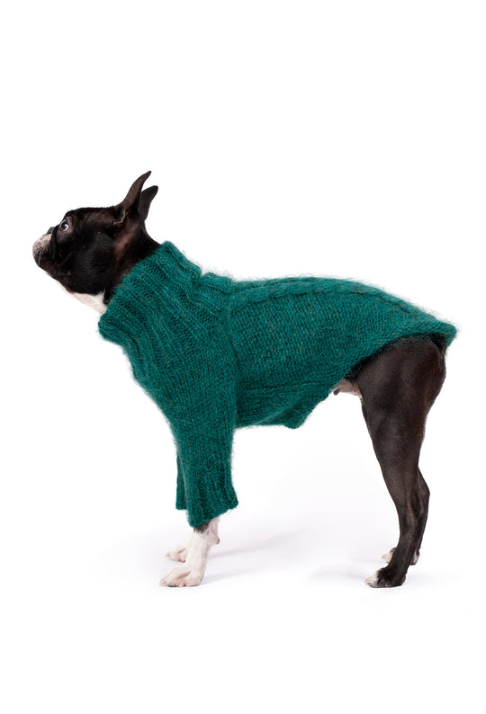Boston Terrier üzerinde çam yeşili el örgüsü köpek kazağı, regular fit yan görünüm