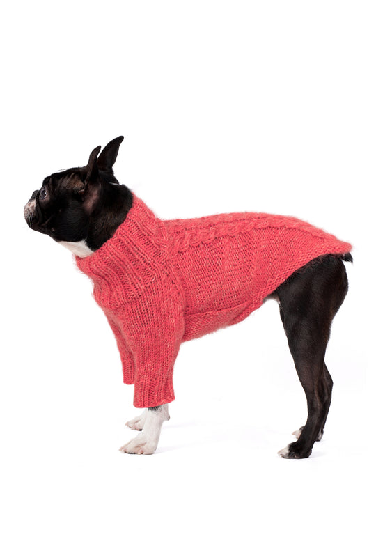 Boston Terrier üzerinde nar çiçeği el örgüsü köpek kazağı, regular fit yan görünüm