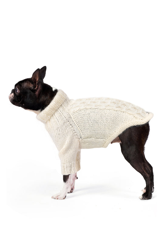 Boston Terrier üzerinde krem rengi burgu desenli el örgüsü köpek kazağı, regular fit yan görünüm