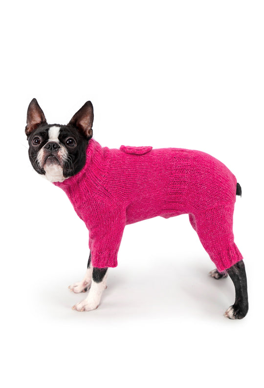 Siyah beyaz Boston Terrier üzerinde fuşya el örgüsü köpek tulumu, çiçek detaylı yan görünüm