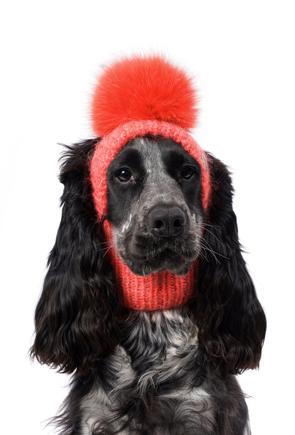 El Örgüsü Mercan Ponponlu Köpek Şapkası