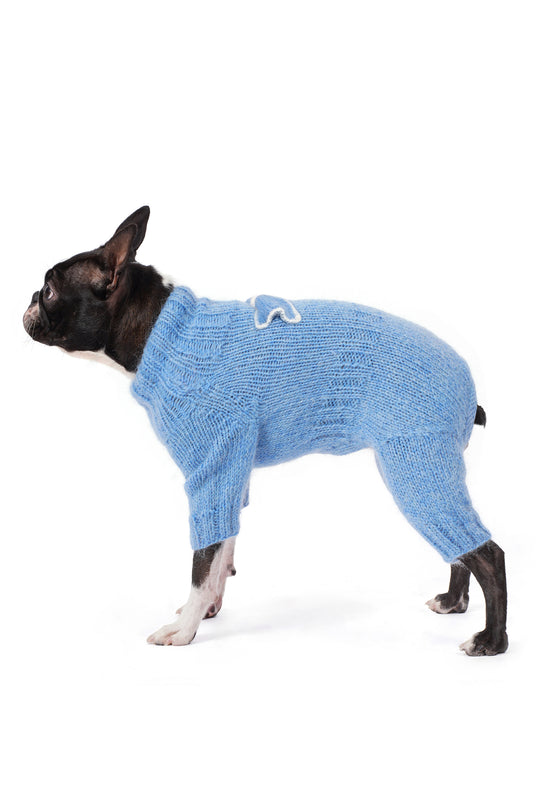 Siyah beyaz Boston Terrier üzerinde bebek mavisi el örgüsü köpek tulumu, papyon detaylı yan görünüm