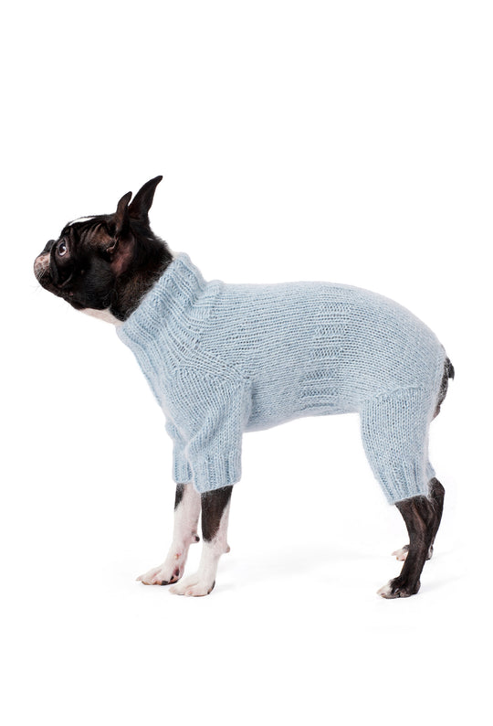 Siyah beyaz Boston Terrier üzerinde buz mavisi el örgüsü köpek tulumu, sade yan görünüm