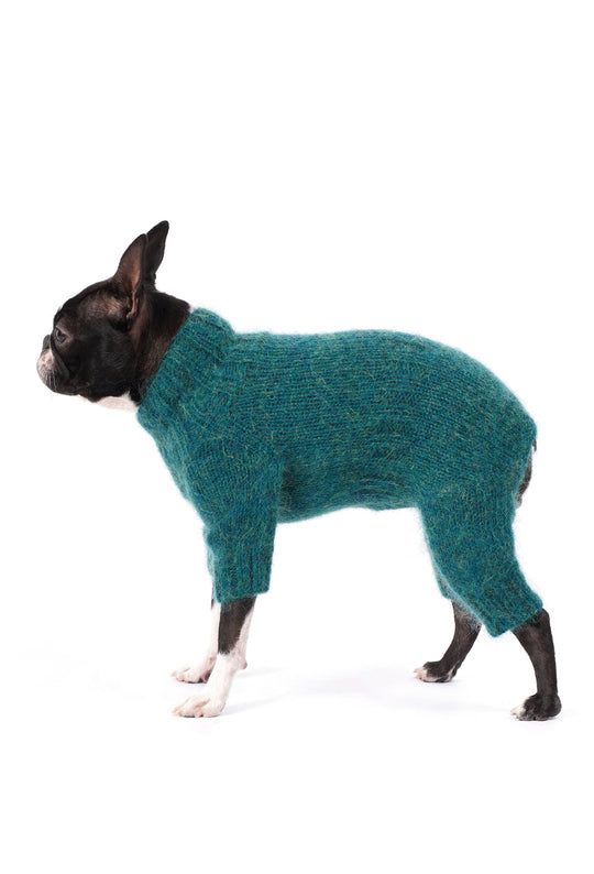Siyah beyaz Boston Terrier üzerinde çam yeşili el örgüsü köpek tulumu, sade yan görünüm