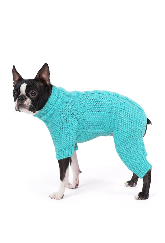Siyah beyaz Boston Terrier üzerinde arktik mavisi el örgüsü köpek tulumu, yan görünüm