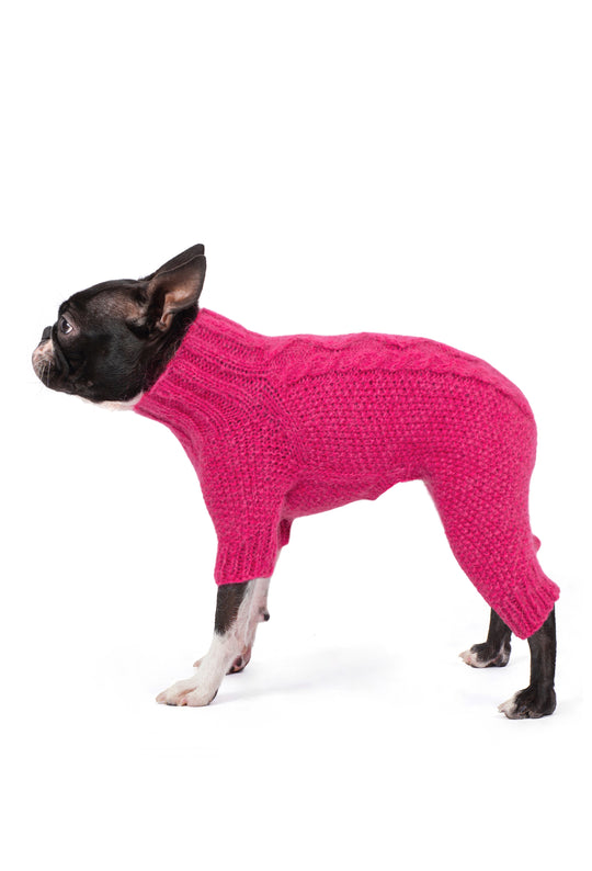 Siyah beyaz Boston Terrier üzerinde fuşya rengi el örgüsü, pirinç desenli ve burgu detaylı köpek tulumu, yan görünüm