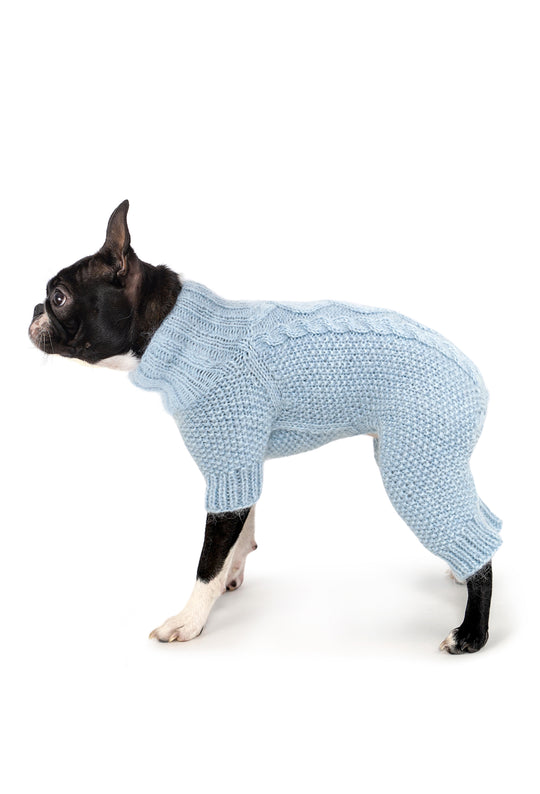 Siyah beyaz Boston Terrier üzerinde buz mavisi el örgüsü köpek tulumu, burgu detaylı yan görünüm