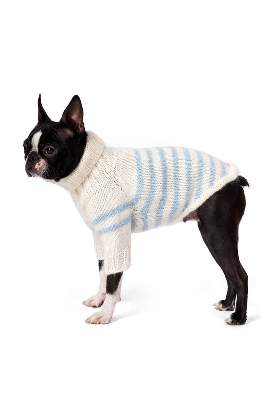 Boston Terrier üzerinde krem mavi çizgili el örgüsü köpek kazağı, relax fit yan görünüm