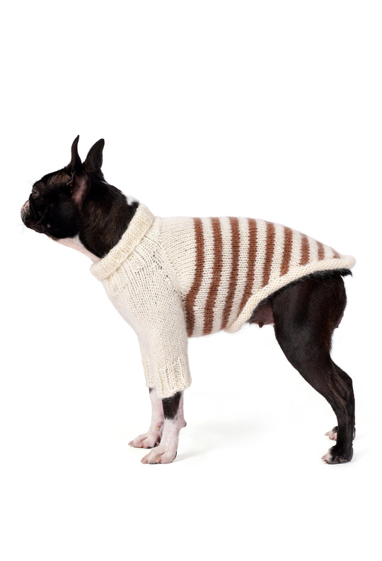 Boston Terrier üzerinde krem kahverengi çizgili el örgüsü köpek kazağı, regular fit yan görünüm