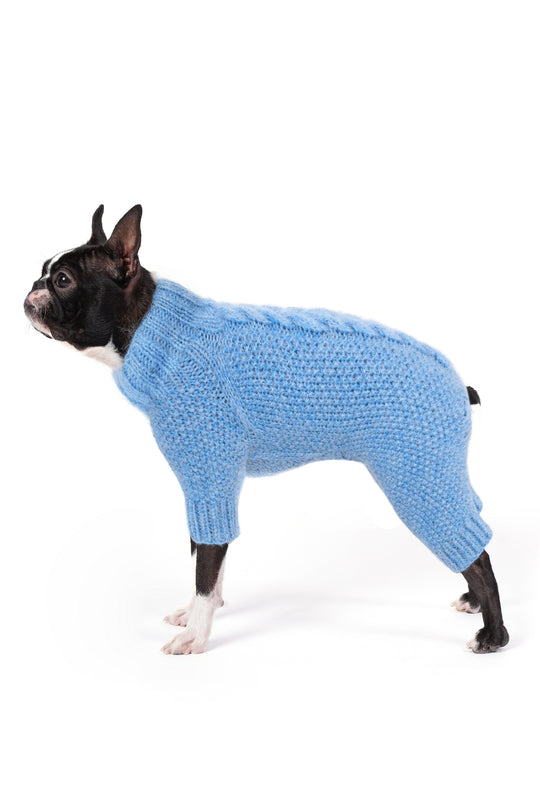 Siyah beyaz Boston Terrier üzerinde bebek mavisi el örgüsü köpek tulumu, yan görünüm