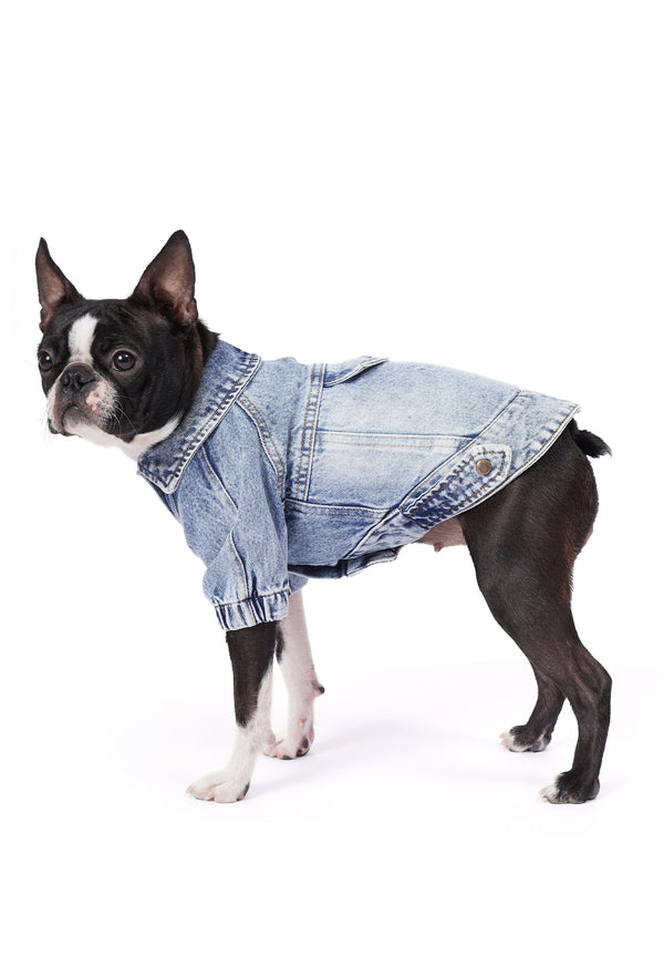 Açık Kar Yıkama Denim Köpek Ceketi “Rodeo”