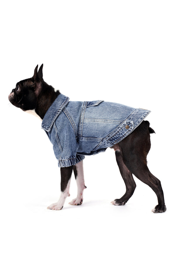 Orta Kar Yıkama Denim Köpek Ceketi “Rodeo”