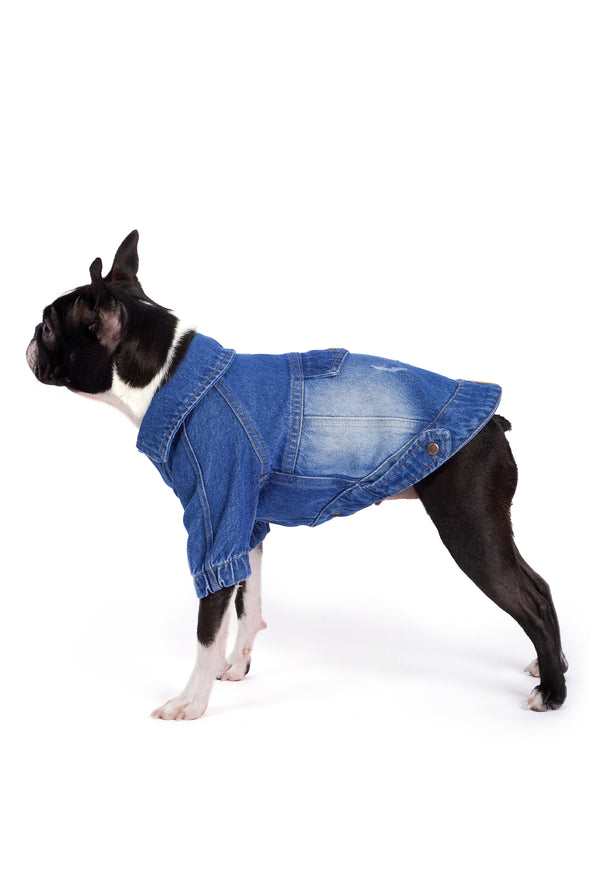 Medium Wash Denim Dog Jacket “Rodeo”