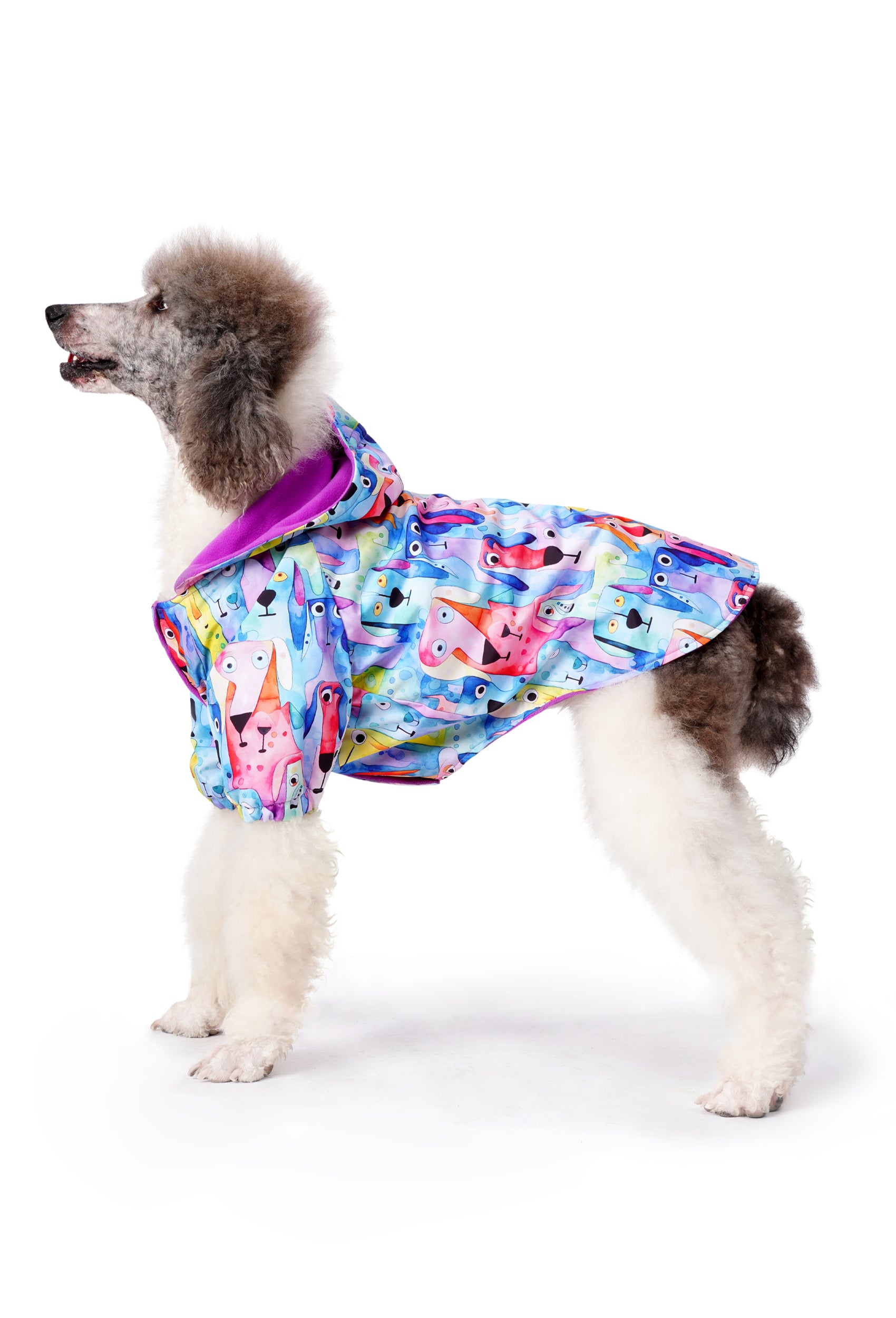 Büyük Irk İçi Polarlı Su Geçirmez Köpek Yağmurluğu “Watercolored
