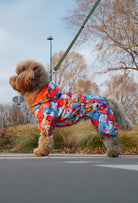 Küçük ırk kıvırcık tüylü Poodle köpek Colorful Robodogs desenli su geçirmez tulum ile park yolunda yürüyor
