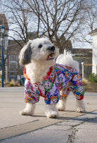 Küçük ırk beyaz Maltese köpek Happy Winter Dogs desenli su geçirmez tulum ile şehir parkında yürüyor