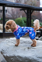 Toy Poodle köpek ırk Night Birds su geçirmez polarlı tulum ile açık havada