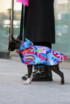 Boston Terrier colorful abstract animals desenli su geçirmez köpek pançosu 