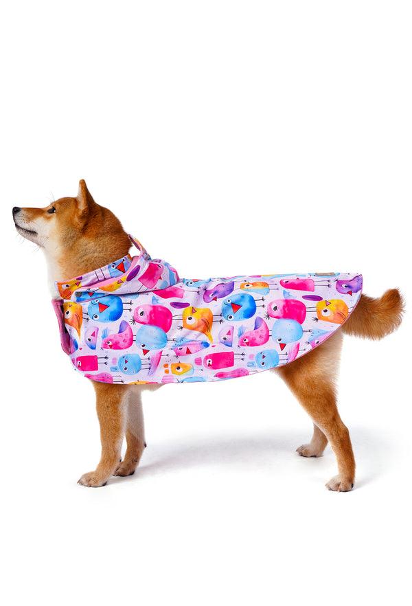 Waterproof Dog Raincoat “Colorful Funny Birds” Poncho