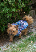 Yorkshire Terrier Dark Pastel Hiphop Dogs su geçirmez  köpek pançosu ile karda