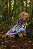 Poodle watercolor geometric mosaic yağmurluk panço giyen köpek orman yürüyüşünde 