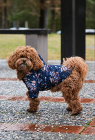 toy poodle biker teddy bears desenli su geçirmez köpek yağmurluğuyla park yürüyüşü