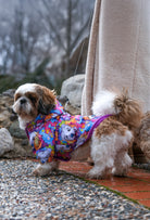 shih tzu renkli colorful dog face desenli köpek yağmurluğu ile yürüyüş