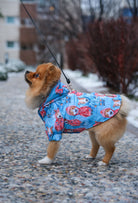Pomeranian Soğuk hava yürüyüşünde mavi Rainy Mood polar içli köpek montu ile küçük  köpek