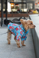  Yorkshire Terrier üzerinde rainy mood dogs desenli su geçirmez köpek yağmurluğu ile Şehirde yürüyüşte