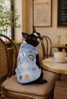 Açık kar yıkama denim XOXO köpek yeleği giyen Boston Terrier kafede lifestyle ürün çekimi