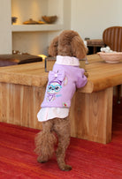 Açık mor Nerd Girl köpek sweatshirt giyen apricot toy poodle arka baskı detayıyla masada lifestyle görünüm